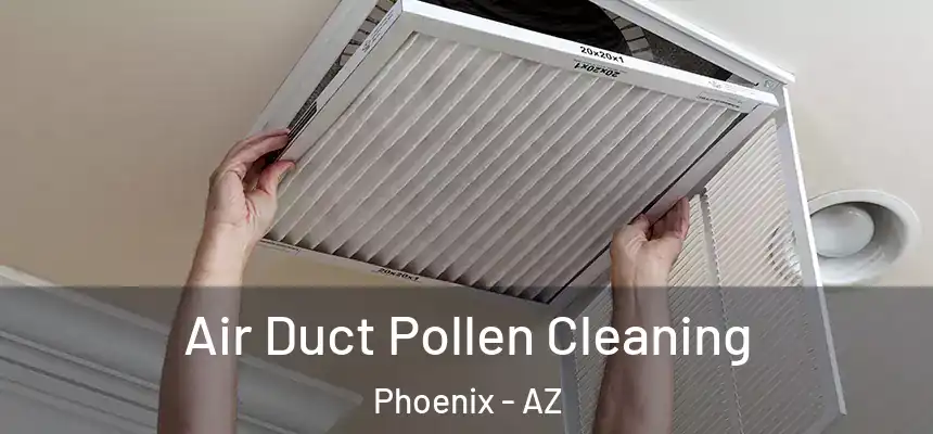 Air Duct Pollen Cleaning Phoenix - AZ