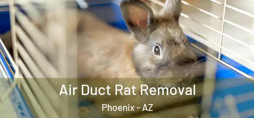  Air Duct Rat Removal Phoenix - AZ