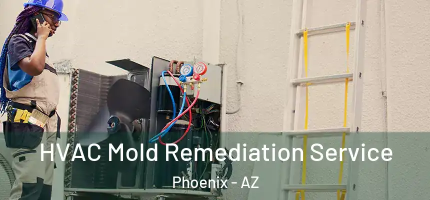 HVAC Mold Remediation Service Phoenix - AZ