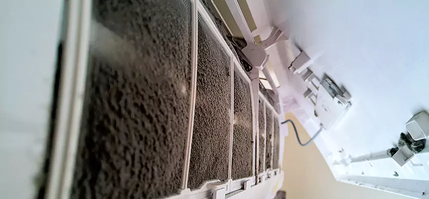 Preventive Air Duct Bacteria Removal in Phoenix