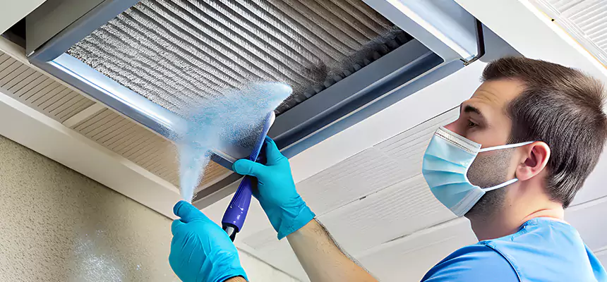 Proactive Dryer Vent & Auxiliary Duct Pollen Cleanup in Phoenix, AZ