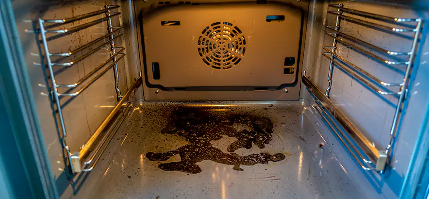 Our Dryer Vent Mold Cleaning Services in Phoenix, AZ