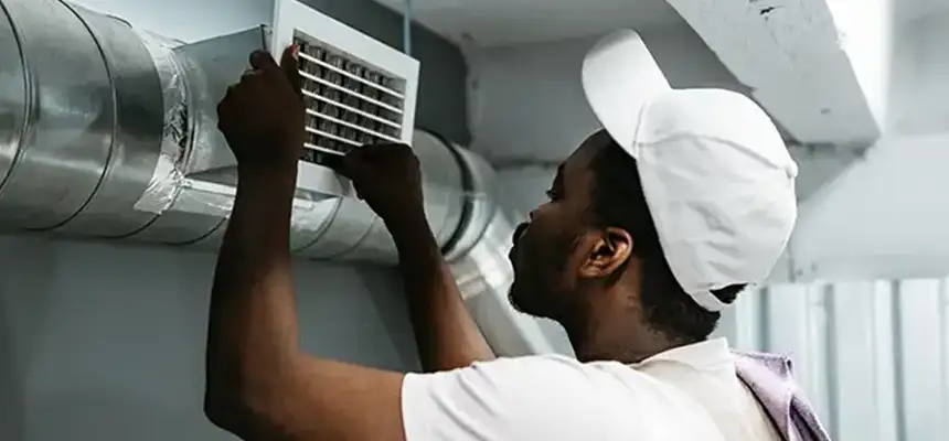 Our Licensed And Insured Cleaners in Phoenix, AZ