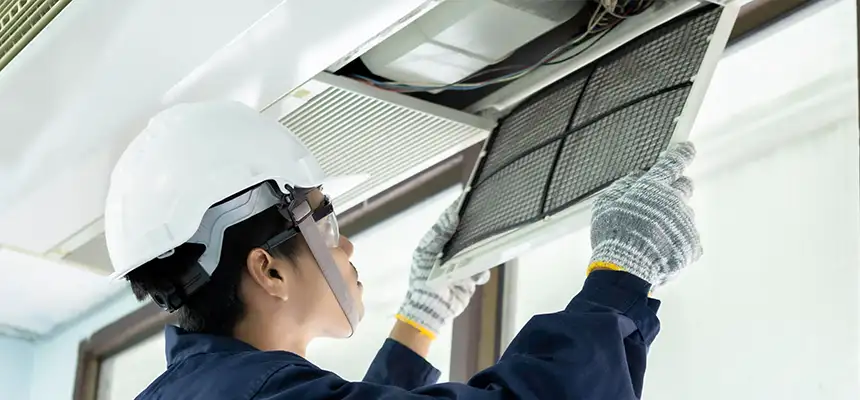 Our Lint Trap Cleaning Service Services in Phoenix, AZ