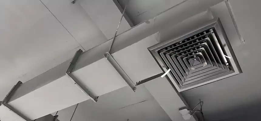 Our Rodent Droppings In Vents Services in Phoenix, AZ