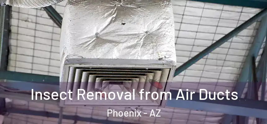 Insect Removal from Air Ducts Phoenix - AZ