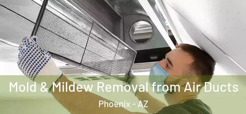  Mold & Mildew Removal from Air Ducts Phoenix - AZ