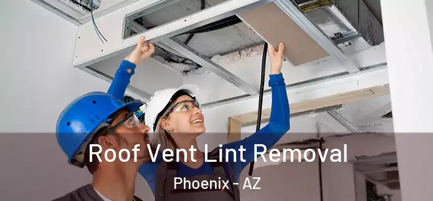 Roof Vent Lint Removal Phoenix - AZ