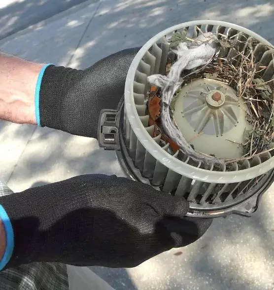 About Air Duct Mice Removal in Phoenix, AZ