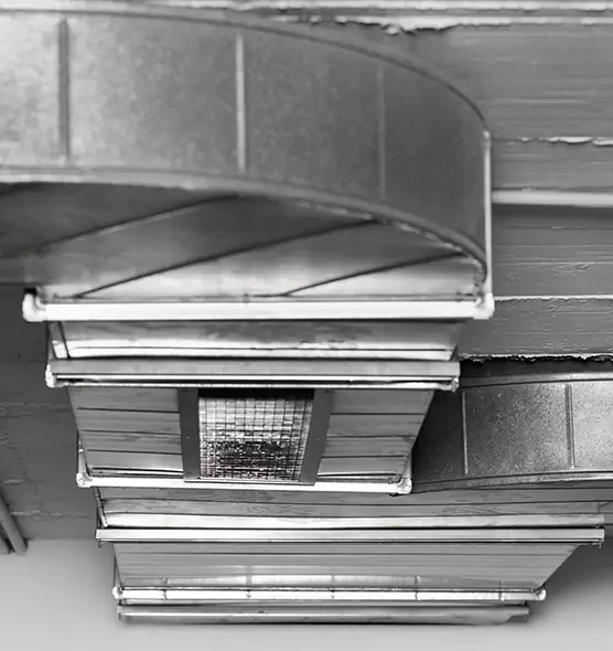 Professional Air Duct Pet Hair Removal in Phoenix, AZ