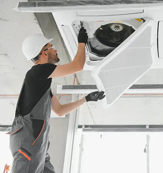 About Air Duct Rodent Removal in Phoenix, AZ