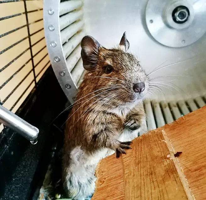 Why Homeowners & Businesses Trust Us Phoenix, AZ?