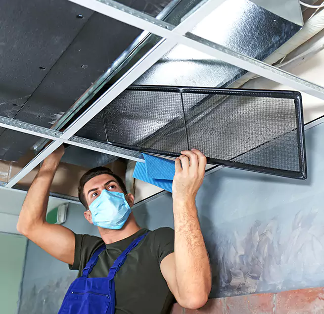 Why Homeowners Businesses Trust Us in Phoenix, AZ?