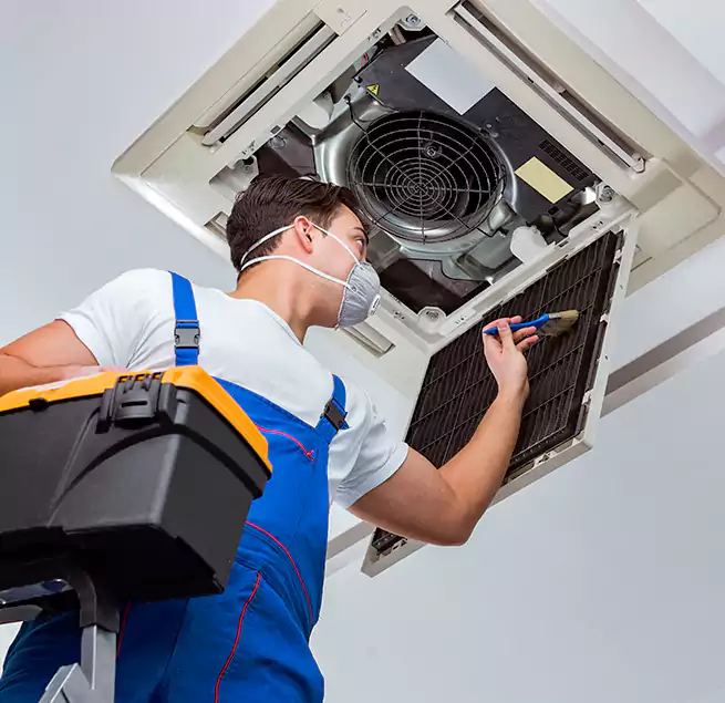 Why Homeowners & Businesses Trust Us in Phoenix, AZ?